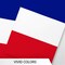 G128 France French Bunting Banner | Flag 8.2 x 5.5 Inch, Full String 33 Feet | Printed 150D Polyester, Decorations For Bar, School, Festival Events Celebration
